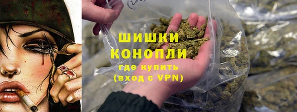 PSILOCYBIN Белокуриха